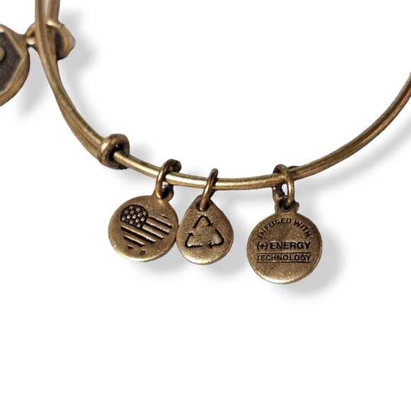 3/$25 Alex & Ani Initial "S" Bangle Charm Bracelet 2016 Classic - Picture 3 of 6